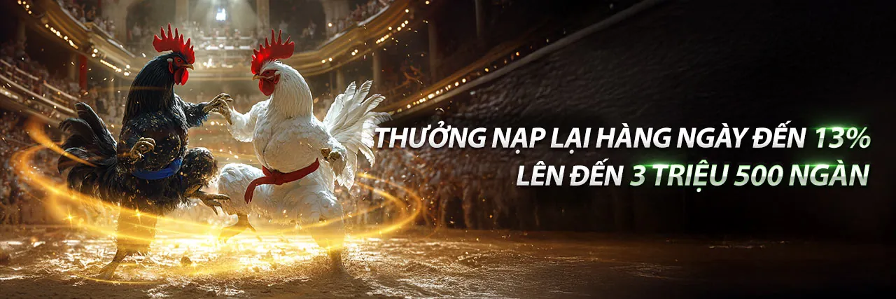 Tổng quan nền tảng c54322 nhà cái